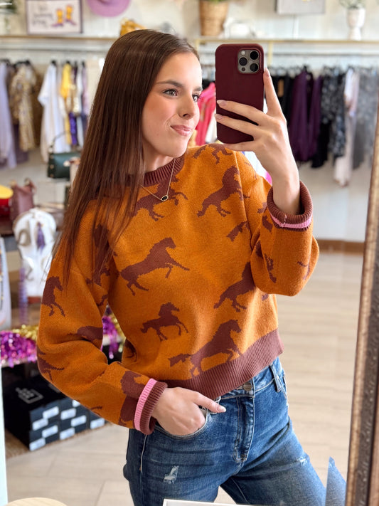 Wild Spirit Sweater