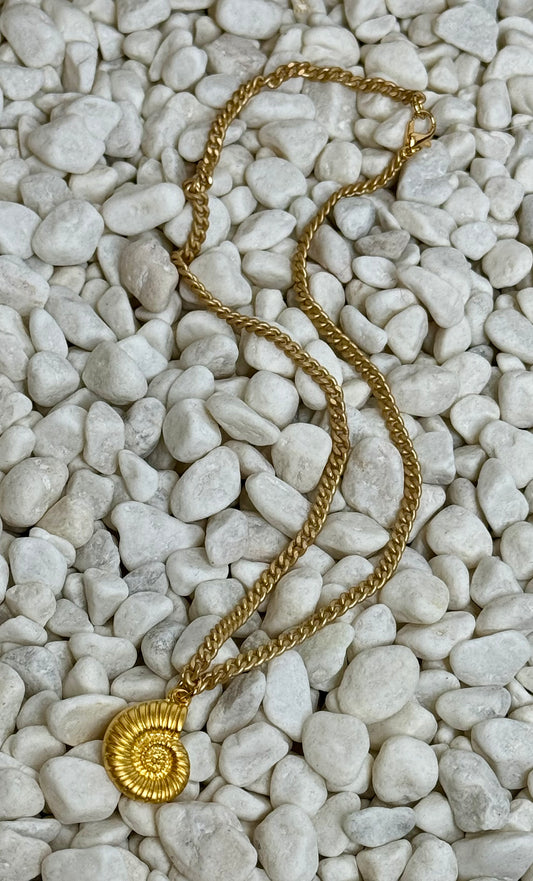 Precious Love Shell Necklace