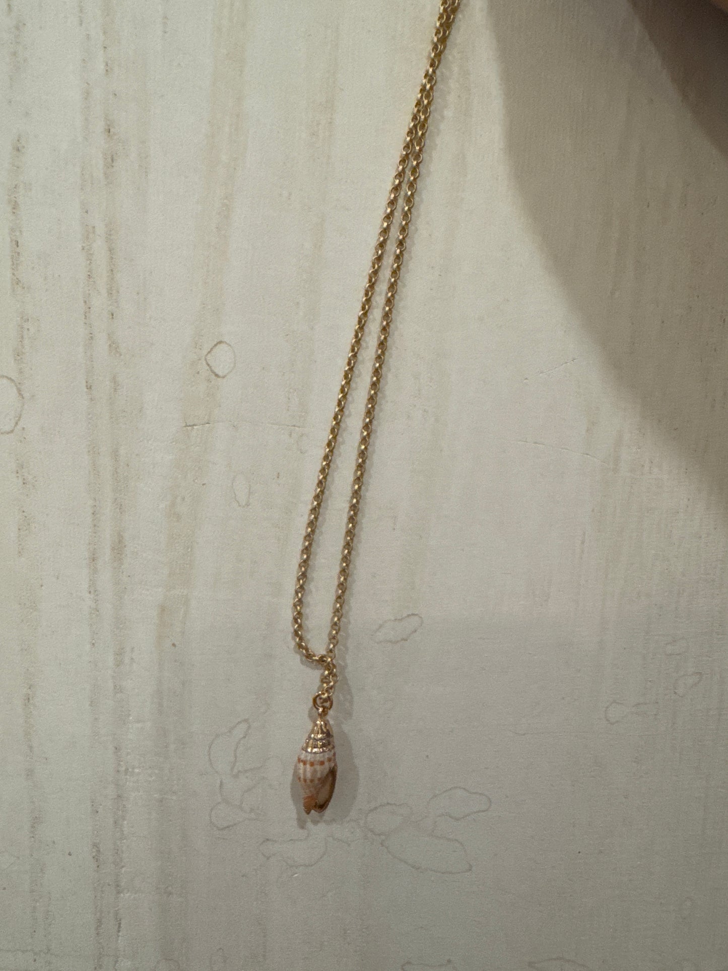 Seashell Necklace