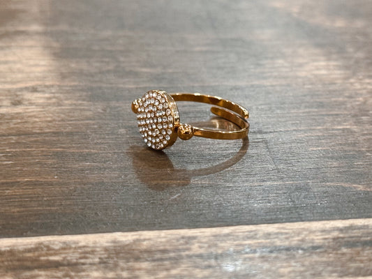 Zirconias Stainless Steel Ring