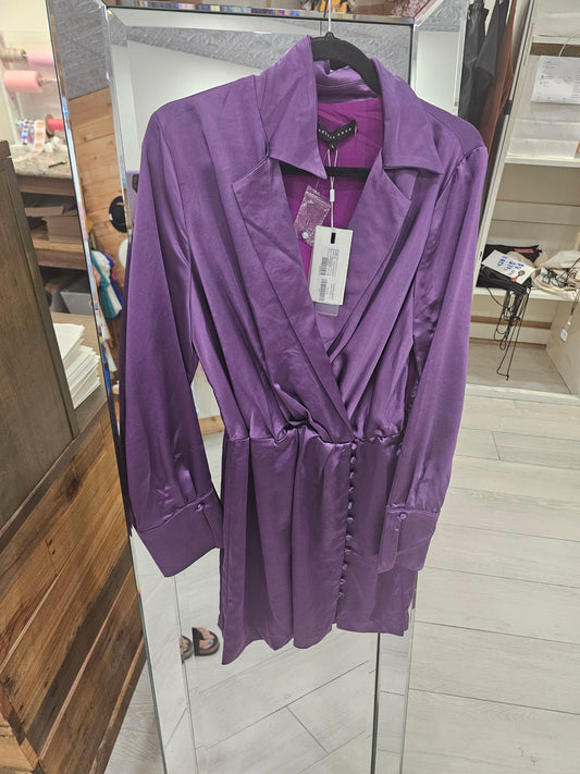 Purple Long Sleeve Dress
